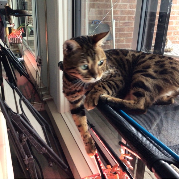 three pieces of pendant necklaces - Picture 7 of 12